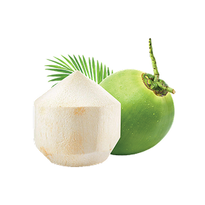 Fresh Vietnamese Coconut
