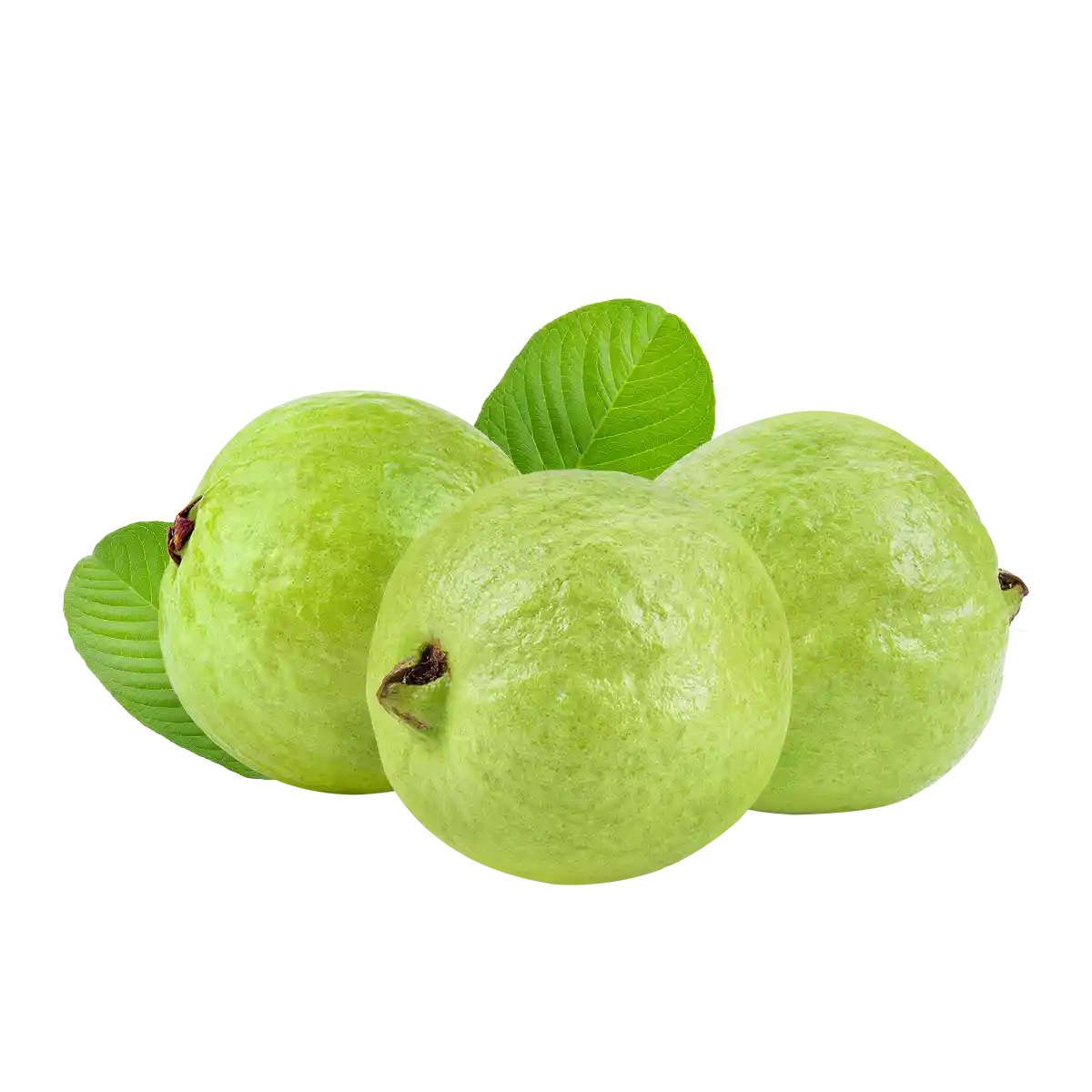 Pink Guava - Image 3