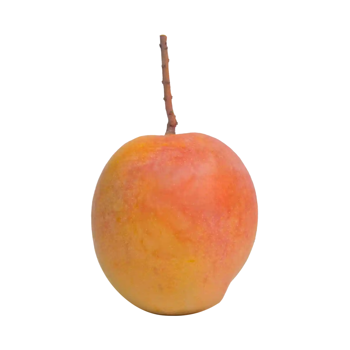 Australian R2E2 Mango - Image 3