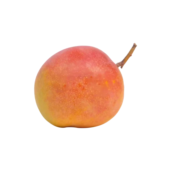 Australian R2E2 Mango - Image 4