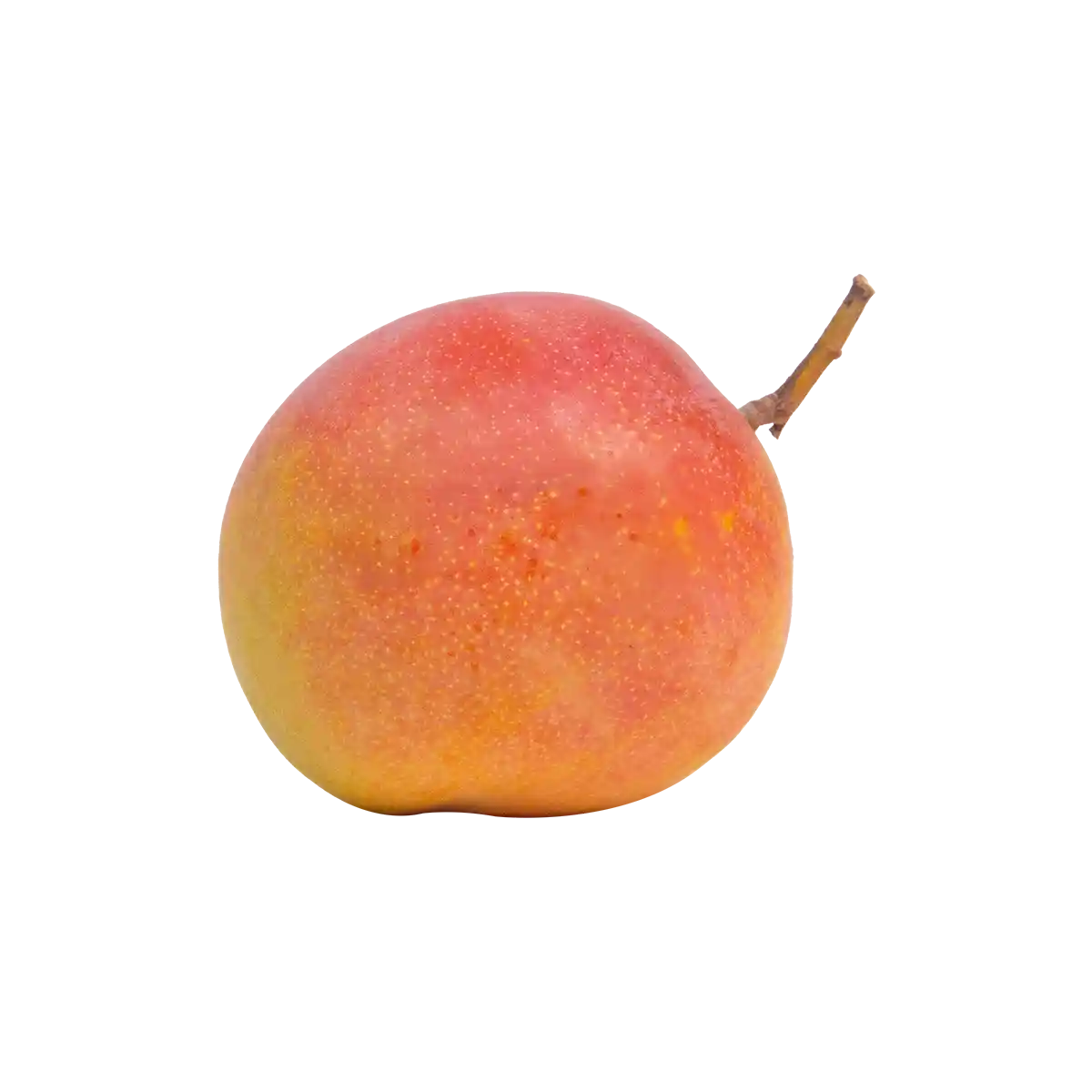 Australian R2E2 Mango - Image 4